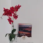 Orchidea * Веспрем