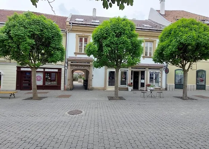 Orchidea Veszprém